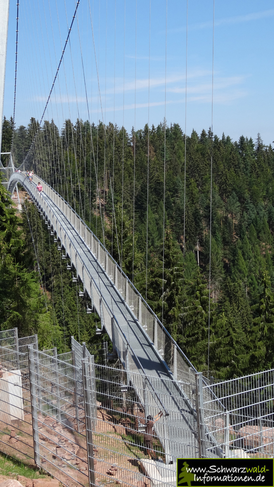 Schwarzwald Wild Line Hängebrücke