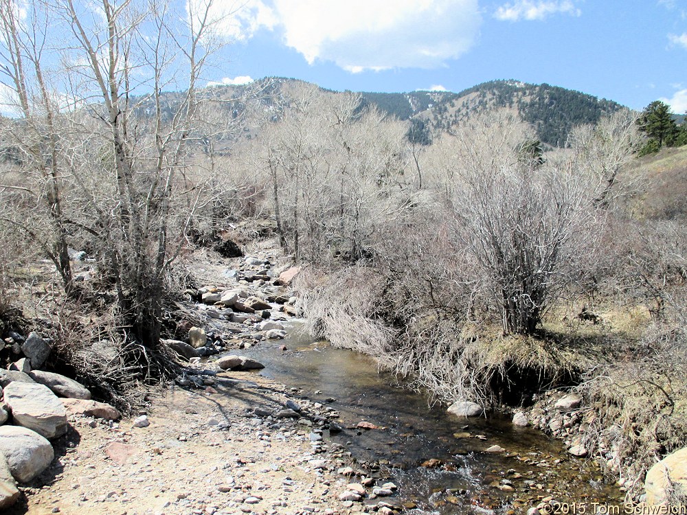 Photo Coal Creek upstream from Plainview Road.