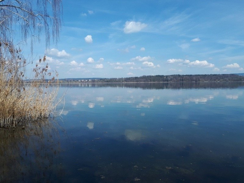 Greifensee (See) schweizersee.ch