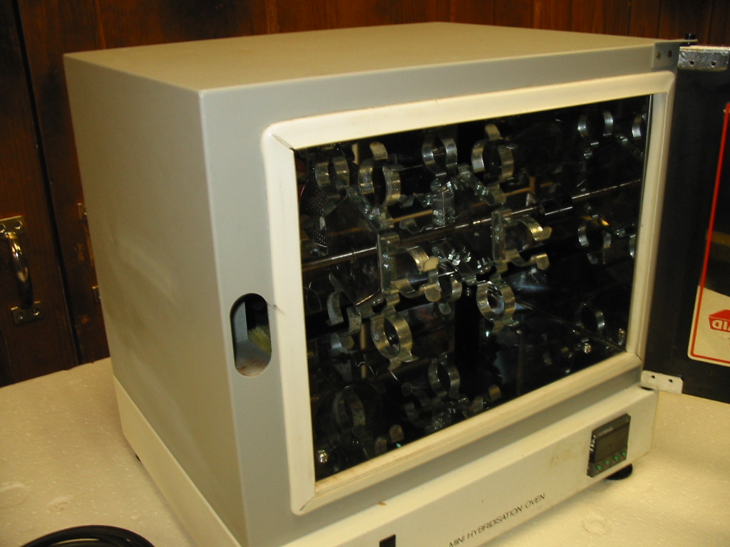 Hybaid Mini 10 Hybridization Oven Scibay