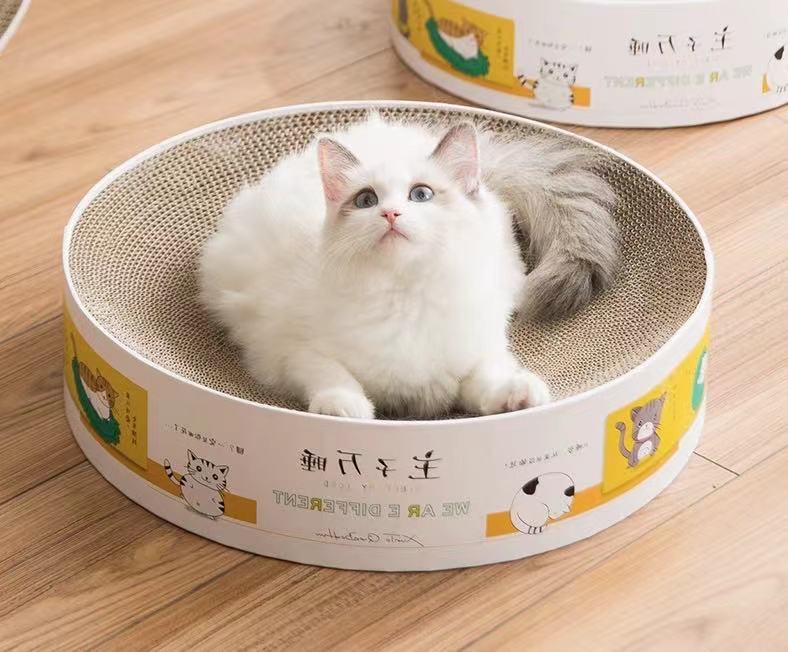 Essential Pet Cat Supplies Checklist MustHave Basics Sci2Pet