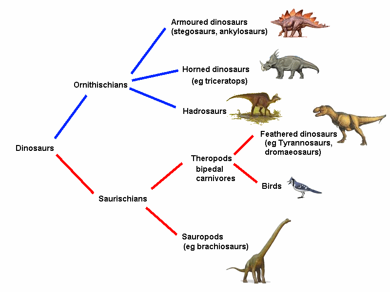 Dinosaurs — Sciencehome