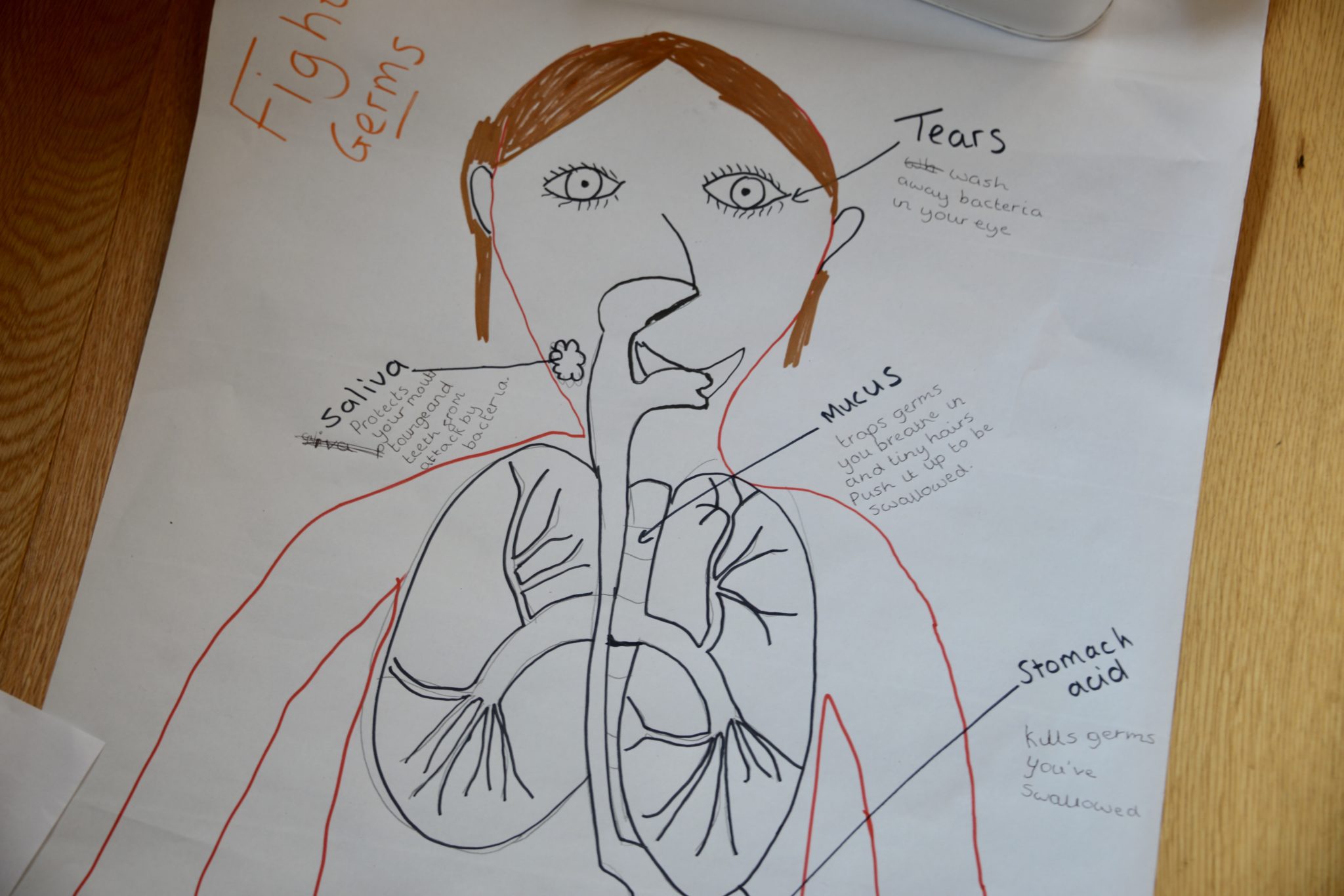 Draw Your Body Human Body Science for Kids