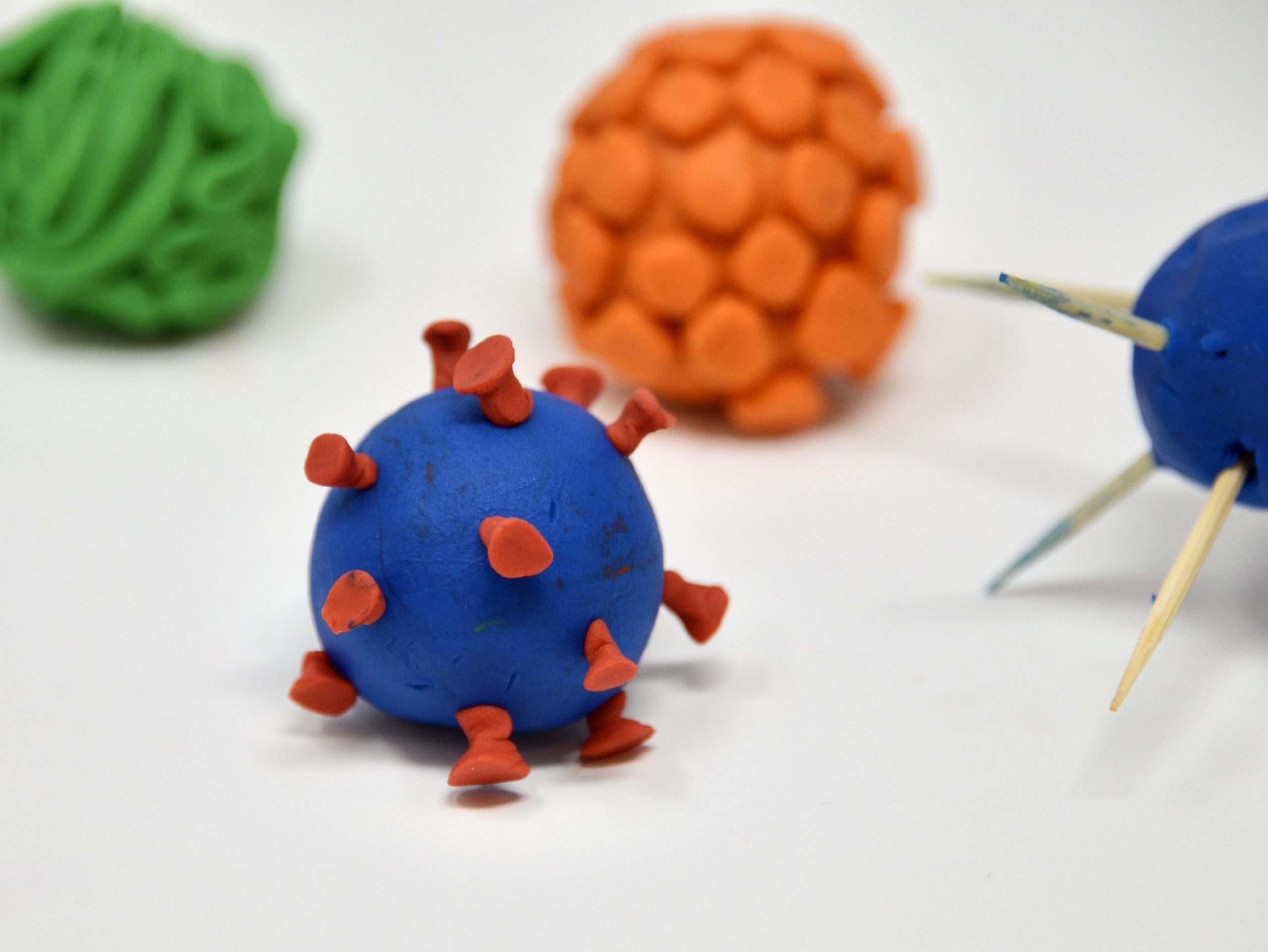 Easy Virus Models Playdough Models of Ebola, Papillomavirus, ZIKA