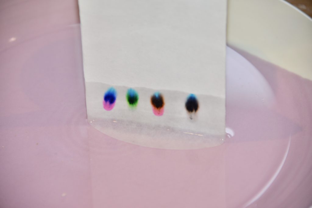 Paper Chromatography Experiment LaptrinhX / News