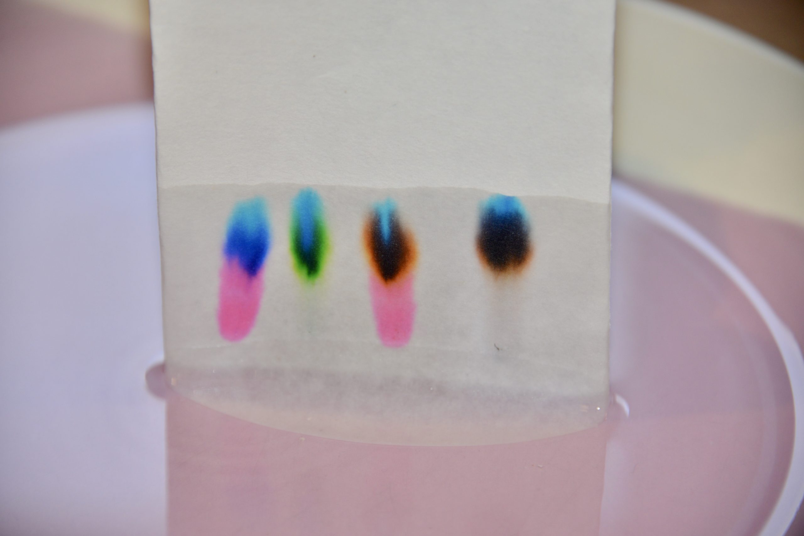 Paper Chromatography Experiment