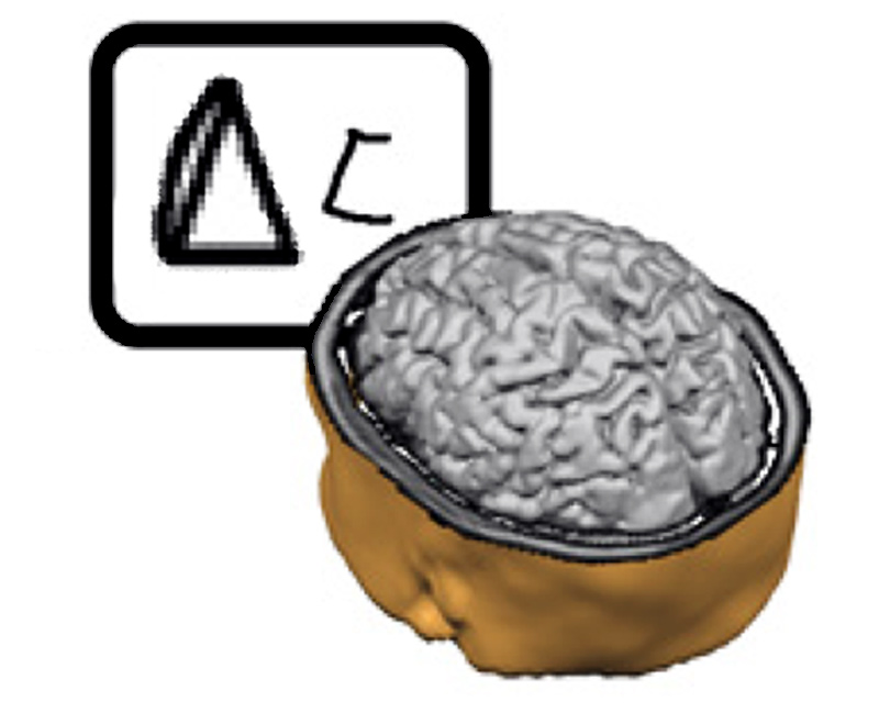 Brain Zaps Improve Math Science AAAS(014)