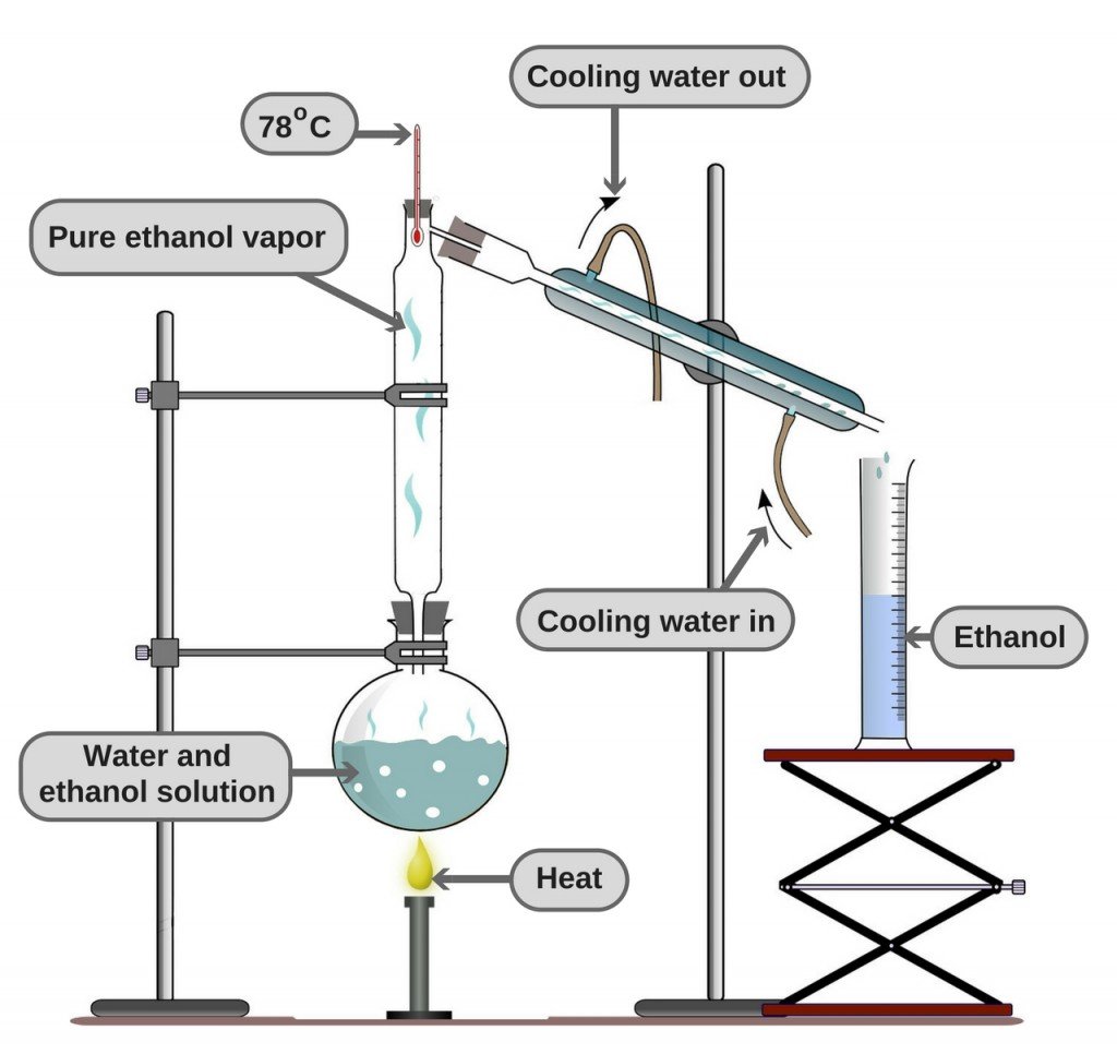 Why Cheap Liquor Give You Worse Hangover Than TopShelf Alcohol?