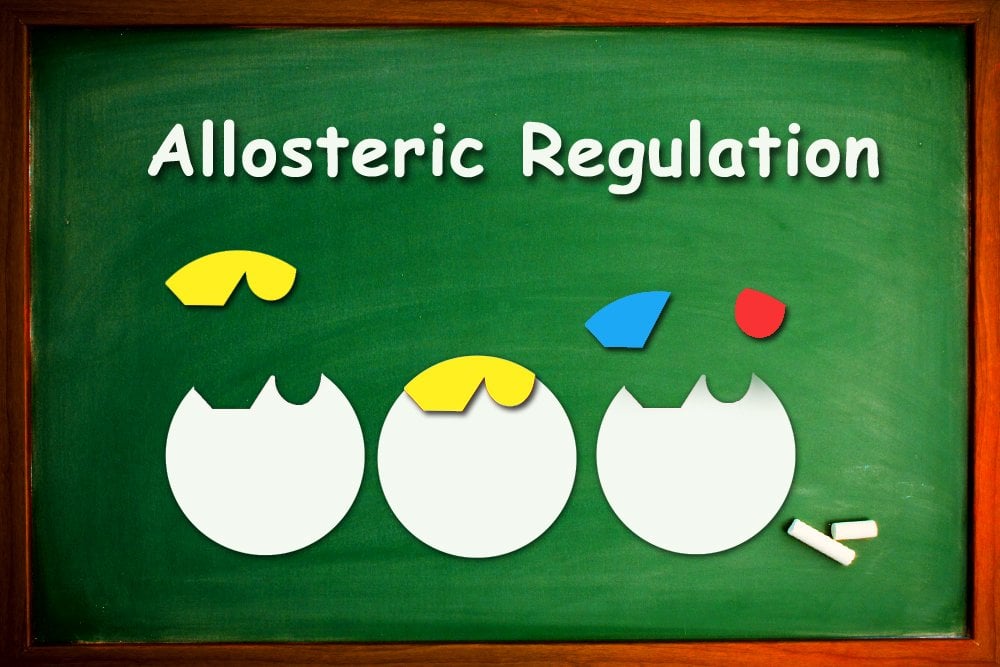 Allosteric Regulation Definition, Working and Significance