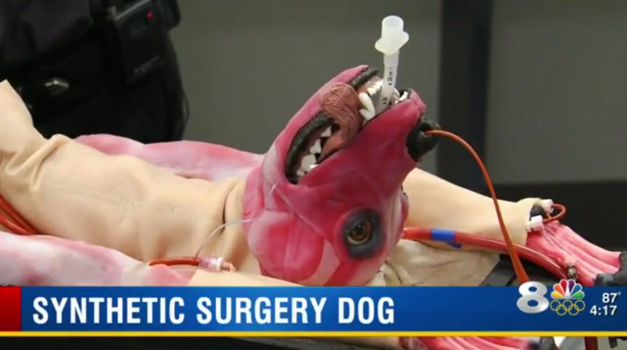 This new synthetic dog breathes, bleeds, and dies for veterinary students