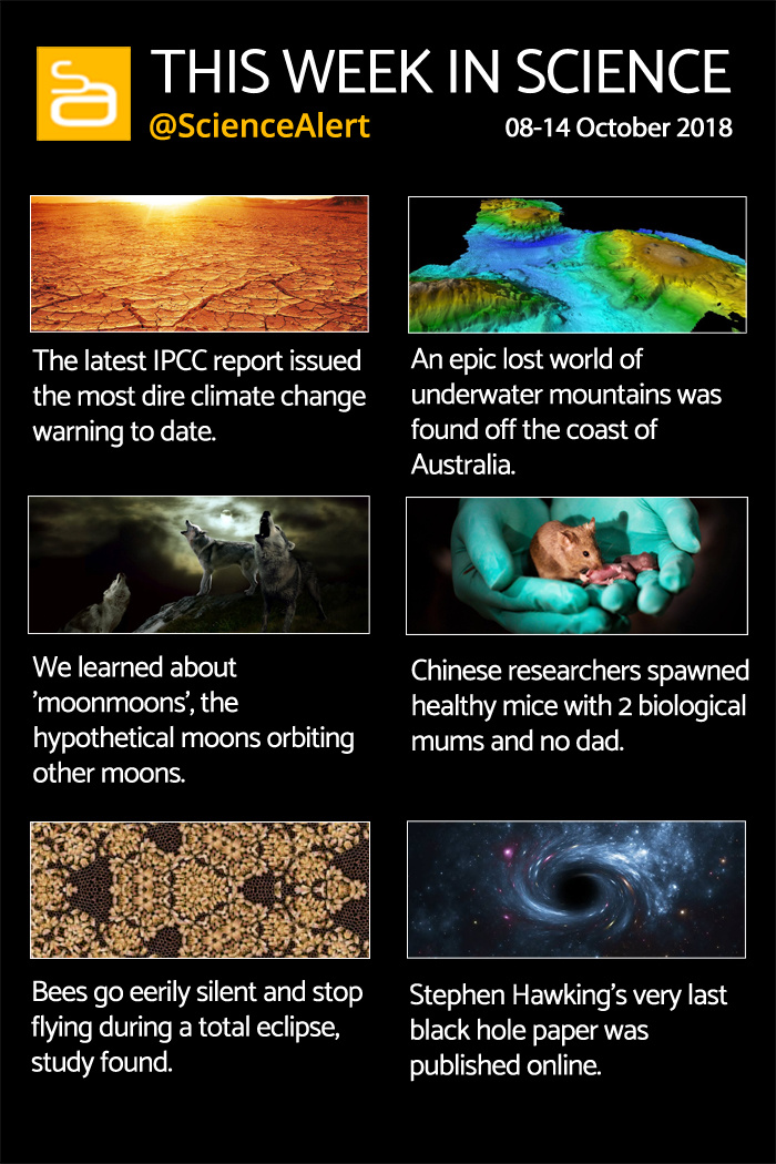 Infographic The Most Talked About Science Stories This Week ScienceAlert