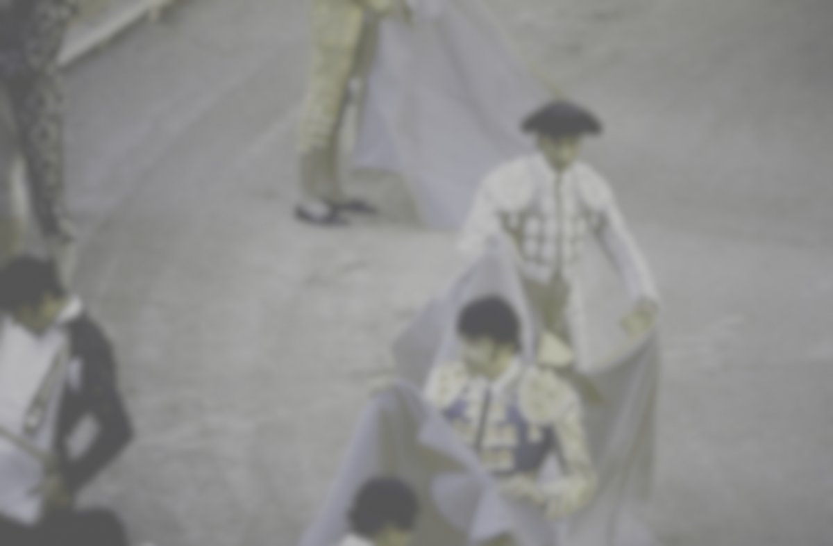 How dogs see the world compared to humans