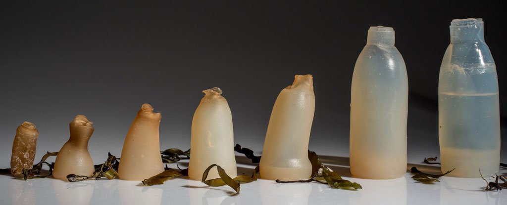 This Biodegradable, AlgaeBased Water Bottle Breaks Down