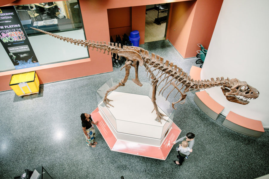 Seymour and Stanley Buffalo Museum of Science