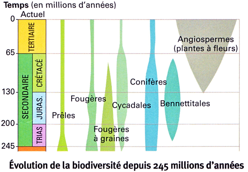 Devoir Maison Svt Seconde Biodiversité Ventana Blog