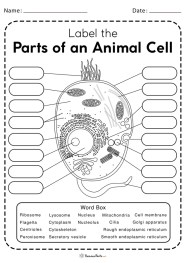 The Animal Cell Worksheets