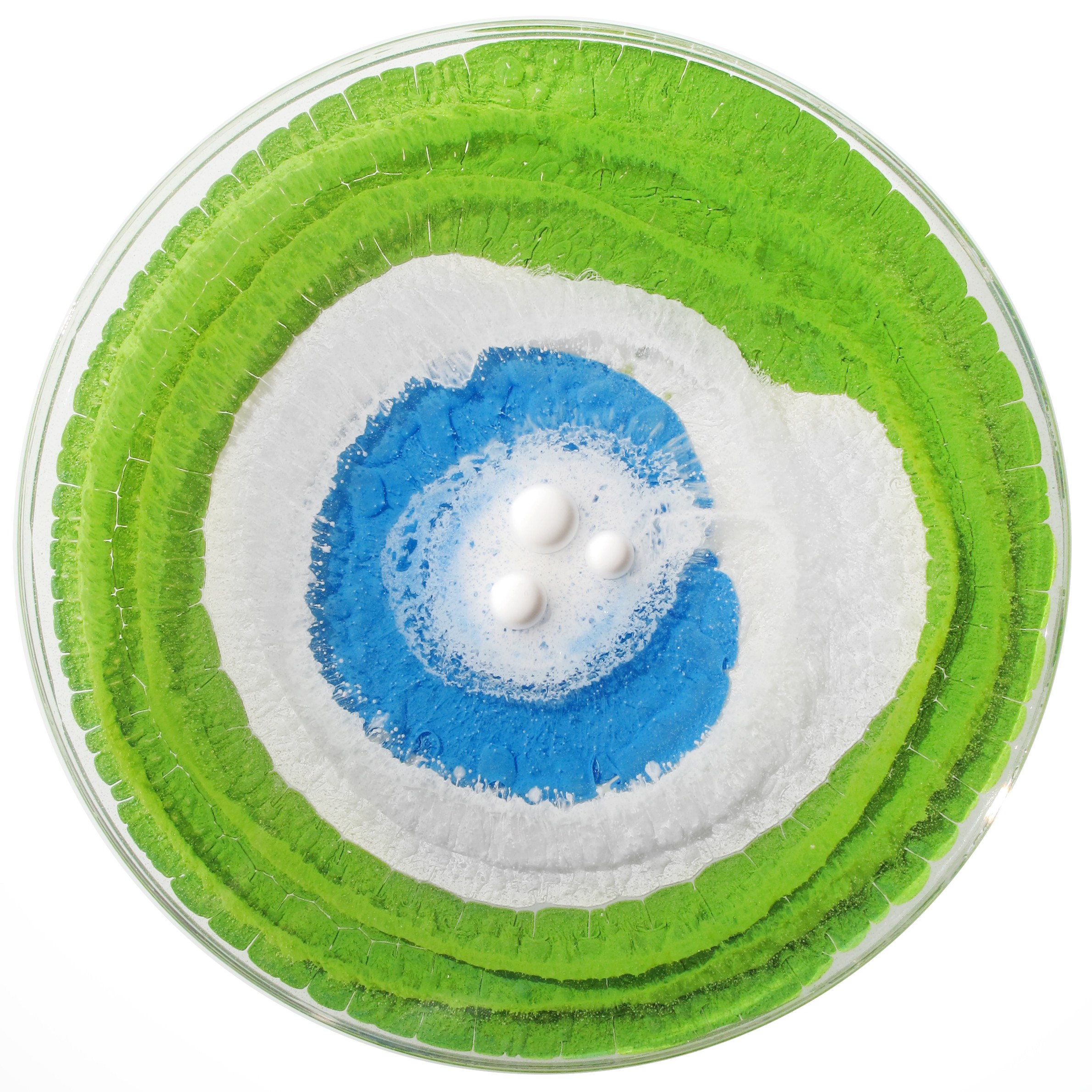 Petri Culture Science Friday