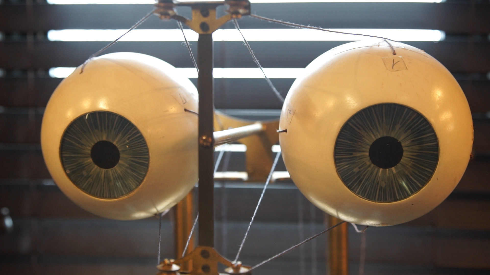 Things of Beauty Scientific Instruments of Yore Science