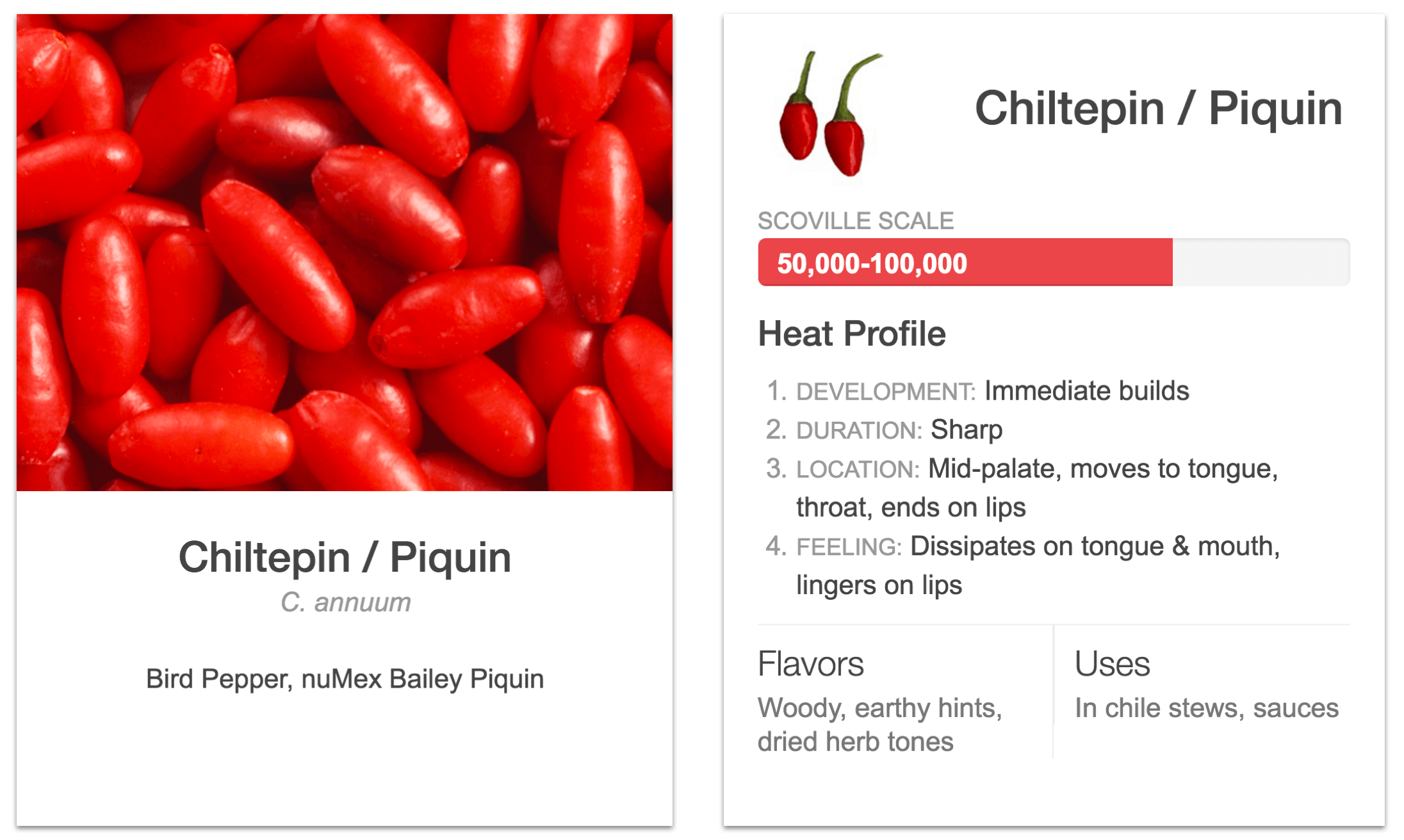 The Spicy Science of Chili Peppers