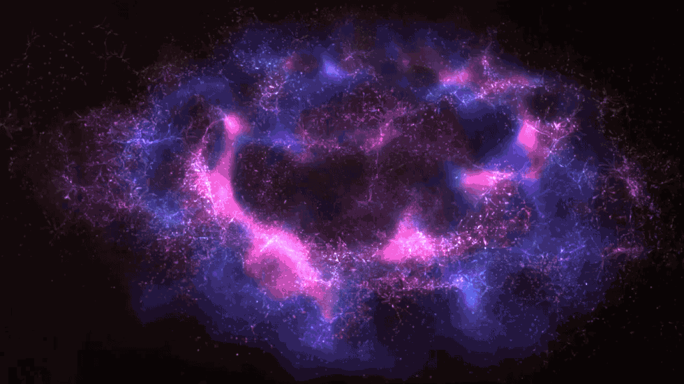 Why the Multiverse Isn't Just Madness