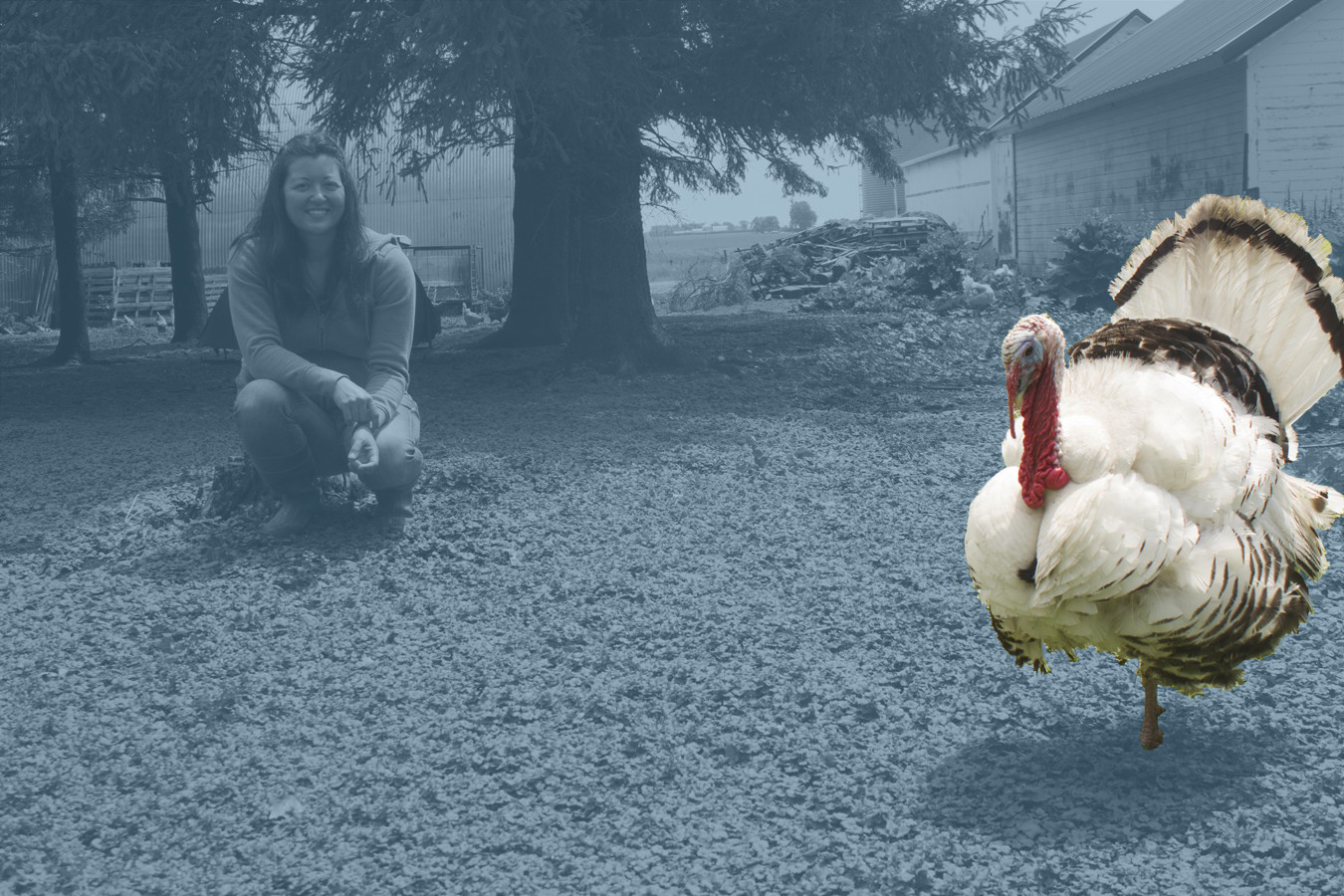 For Farmers, Rotating Livestock Pays Off Science Friday