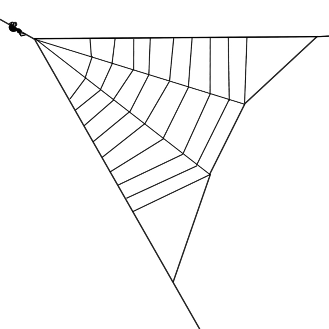 Spider Webs A Tangled Spring Of Force And Energy