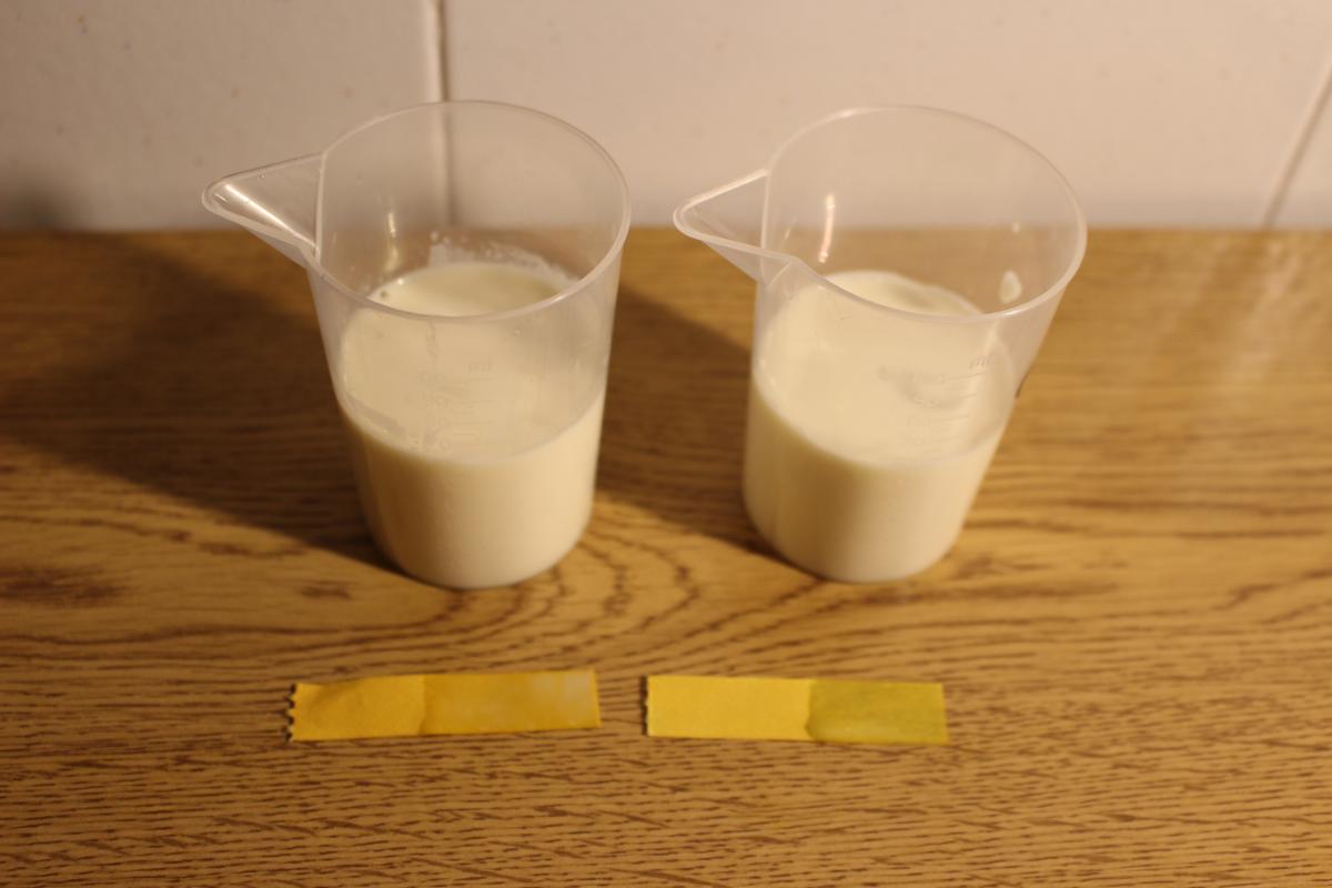 Which laundry enzymes work best? Science in School