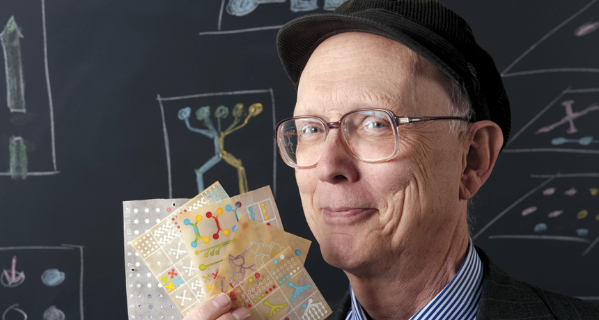 Chemist tackles complex problems with simplicity Science News