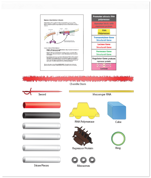 Gene Switches Science TakeOut