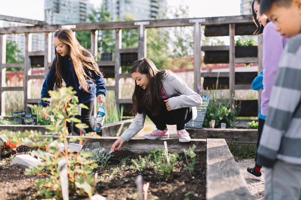 How does gardening make you happier? Science World