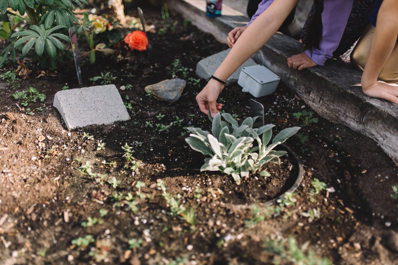 How does gardening make you happier? Science World