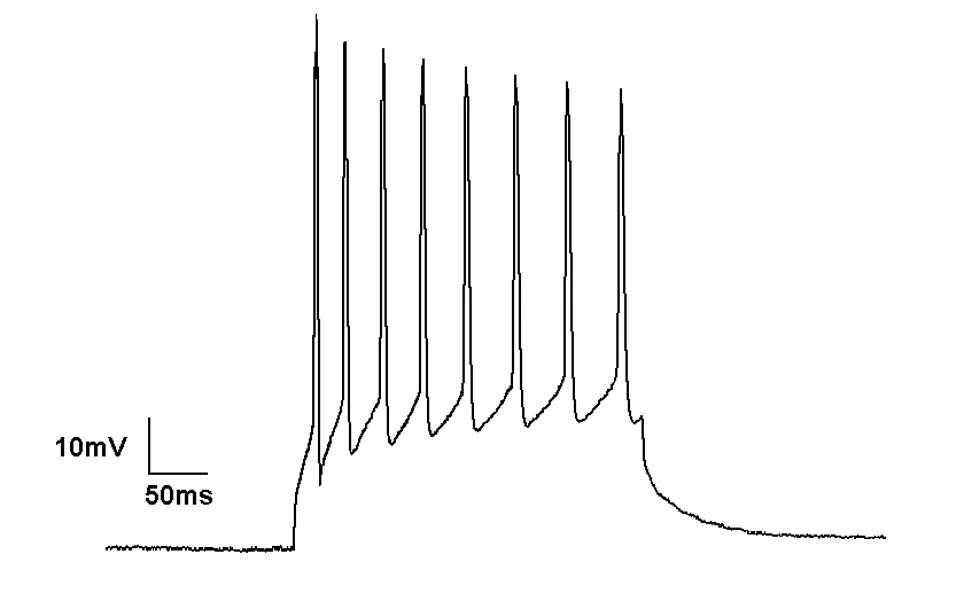 What Is The Meaning Of Clamp Current at Mabel Hall blog