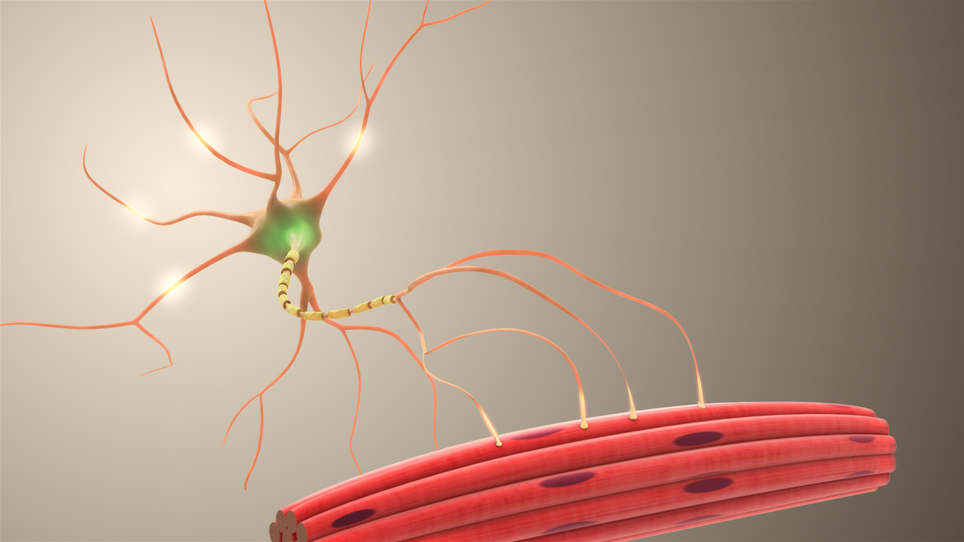 Using 3D medical animation and illustration to visualize neurons the