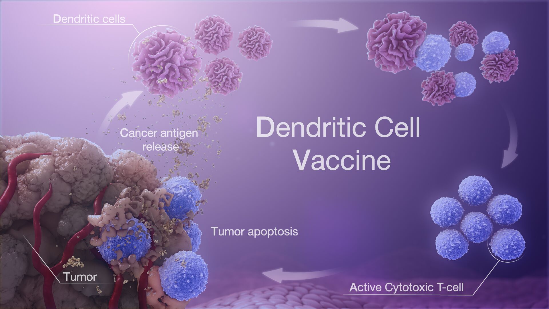 Cost of Dendritic Cell Therapy Dendritic Cells in Cancer Therapy