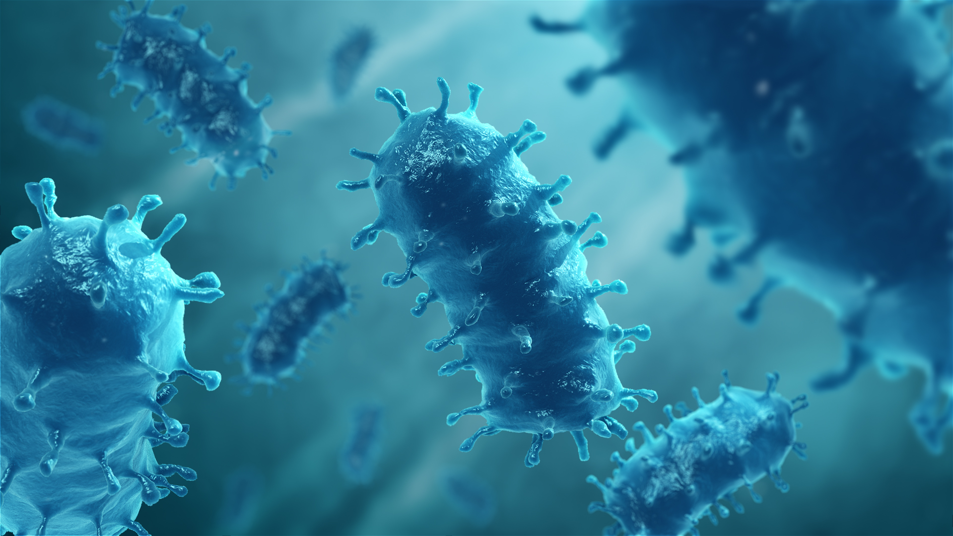 Use mild soap, and run warm tap unvaccinated and feral dogs can also potentially carry — and transfer — rabies, so your doctor will cat and dog bites differ in damage caused, but they pose similar risks. Rabies: Cause, Transmission, Treatment, and Prevention