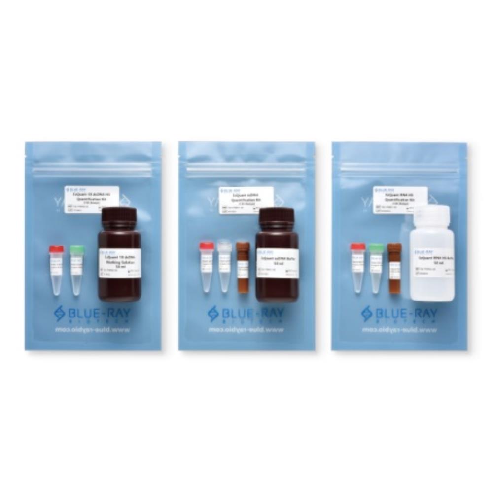 BlueRay Biotech EzQuant 1X ds FLU1062 BLUERAY BIOTECH SLS