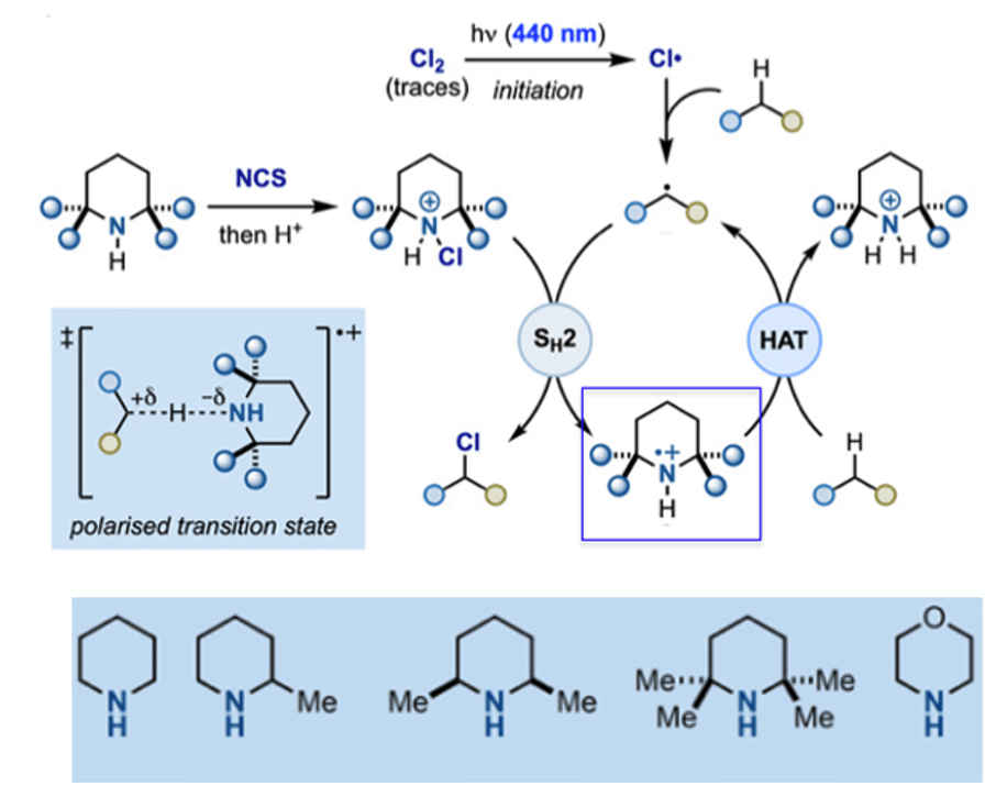 A radical approach to CH chlorination Scientific Update UK