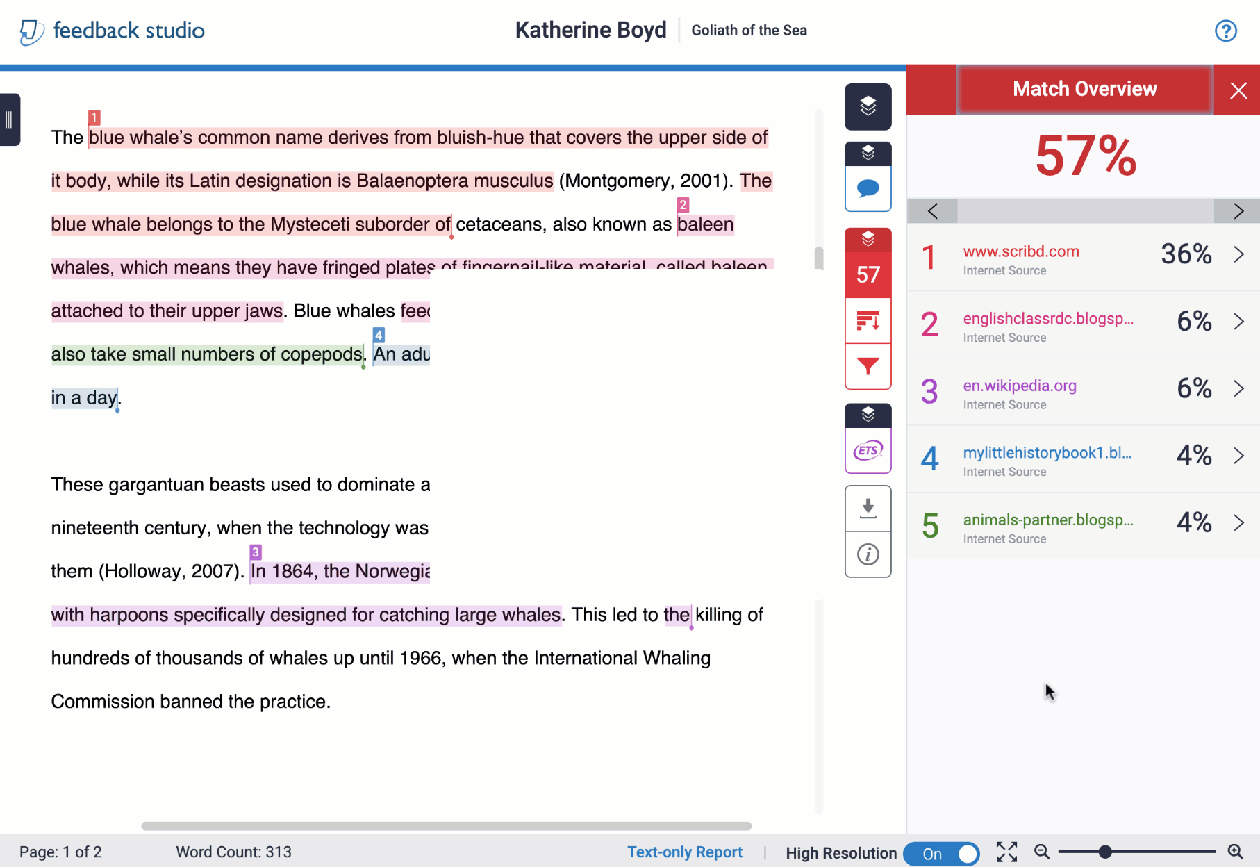 Best Plagiarism Checkers for Research Papers in 2024