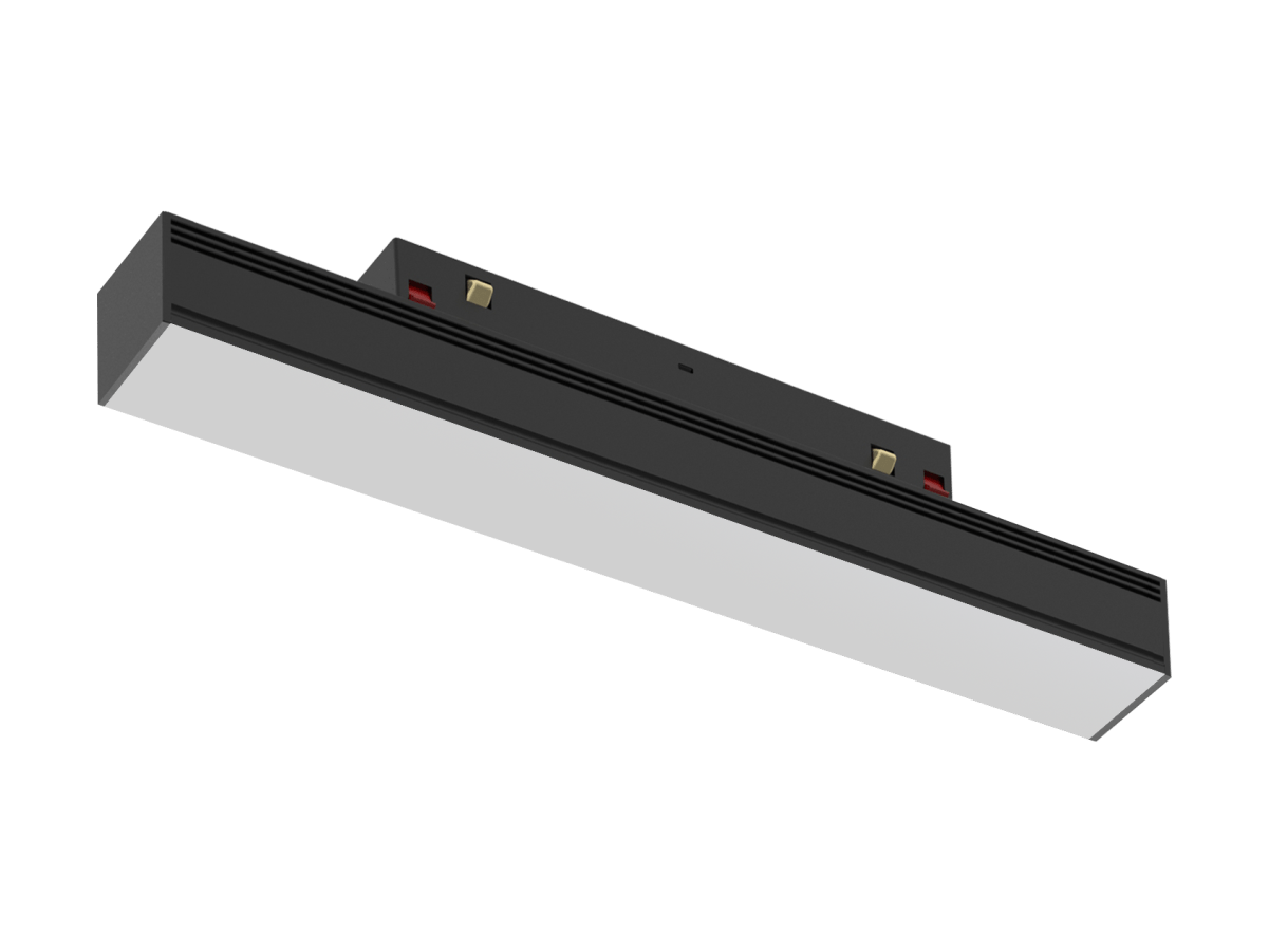 Lanky Scintilla (India)