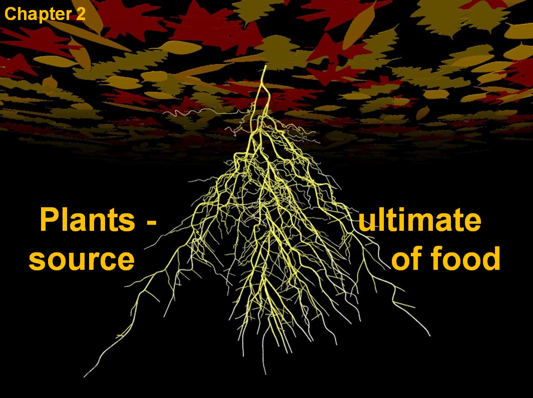 Presentation on soil microbiology Science a picture story