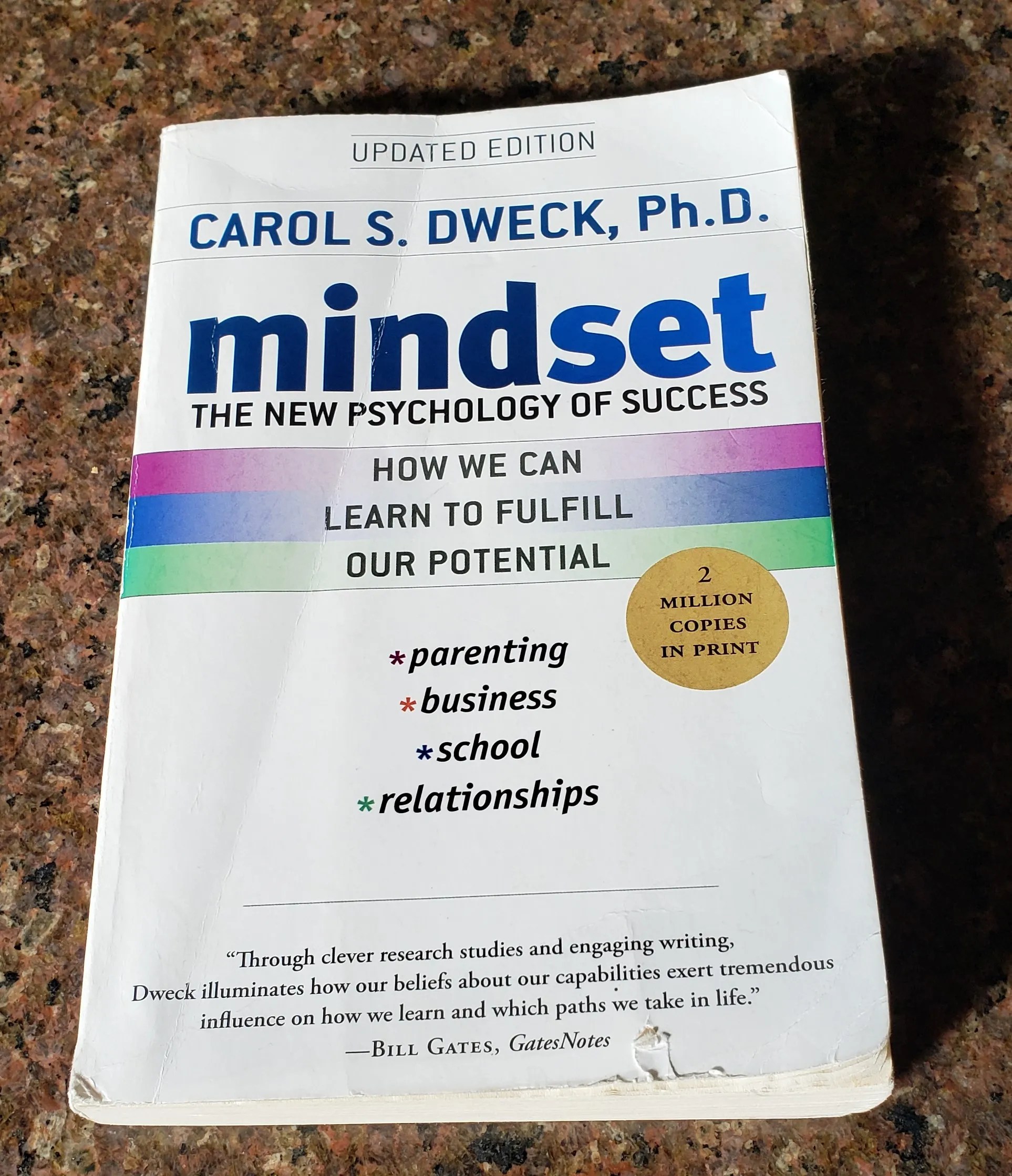 Book MINDSET SCL Search Consultants