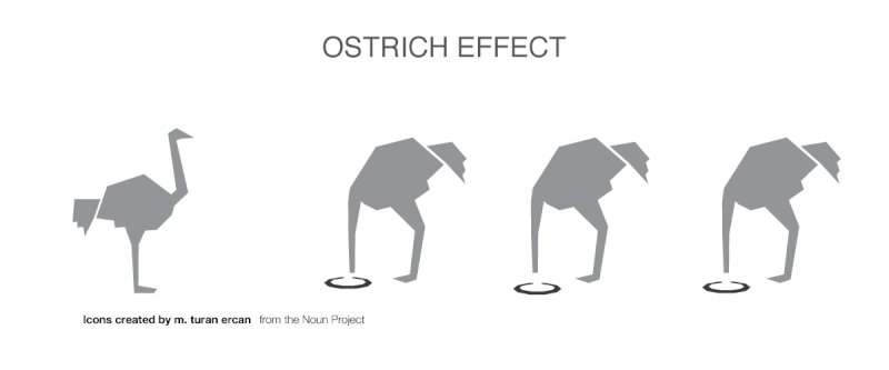 How to Root Out Bias from Your Decision Making Process Scoro