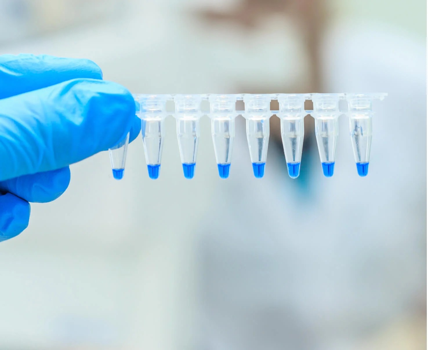 Bioassays Molecular Assays qPCR Scorpion Biological Services USA