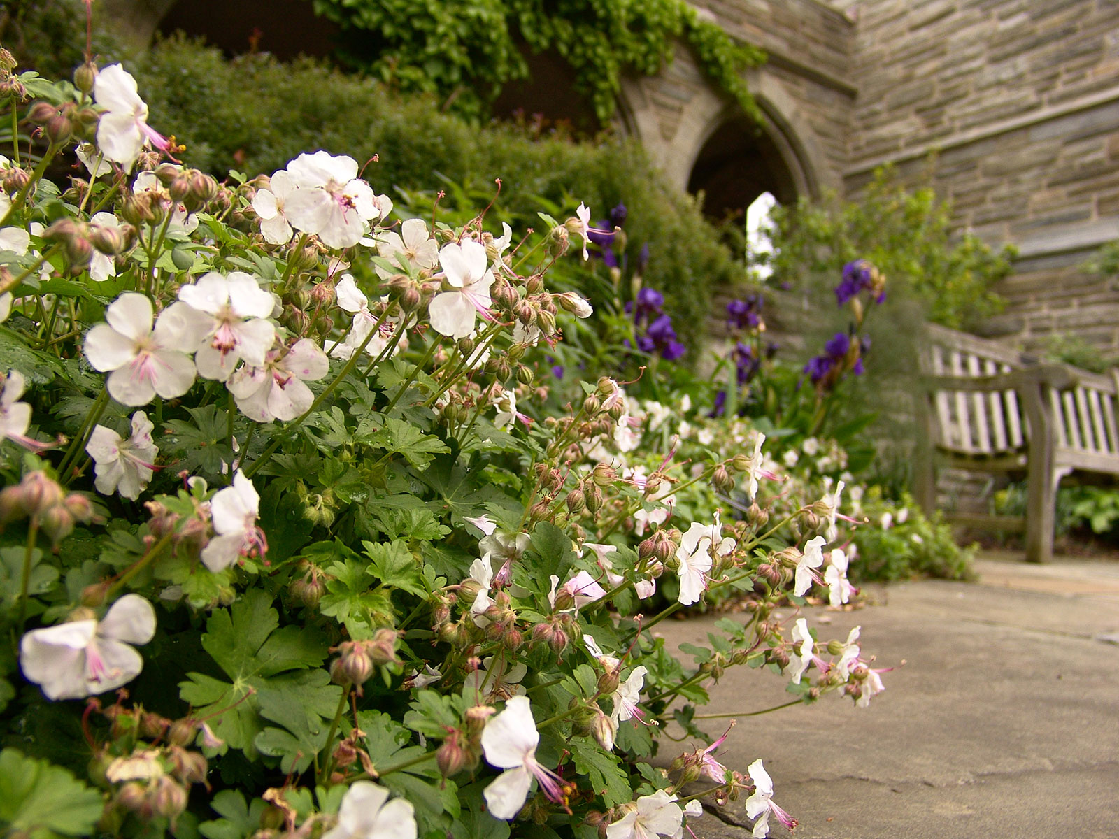 Scott Arboretum Theresa Lang Garden of Fragrance