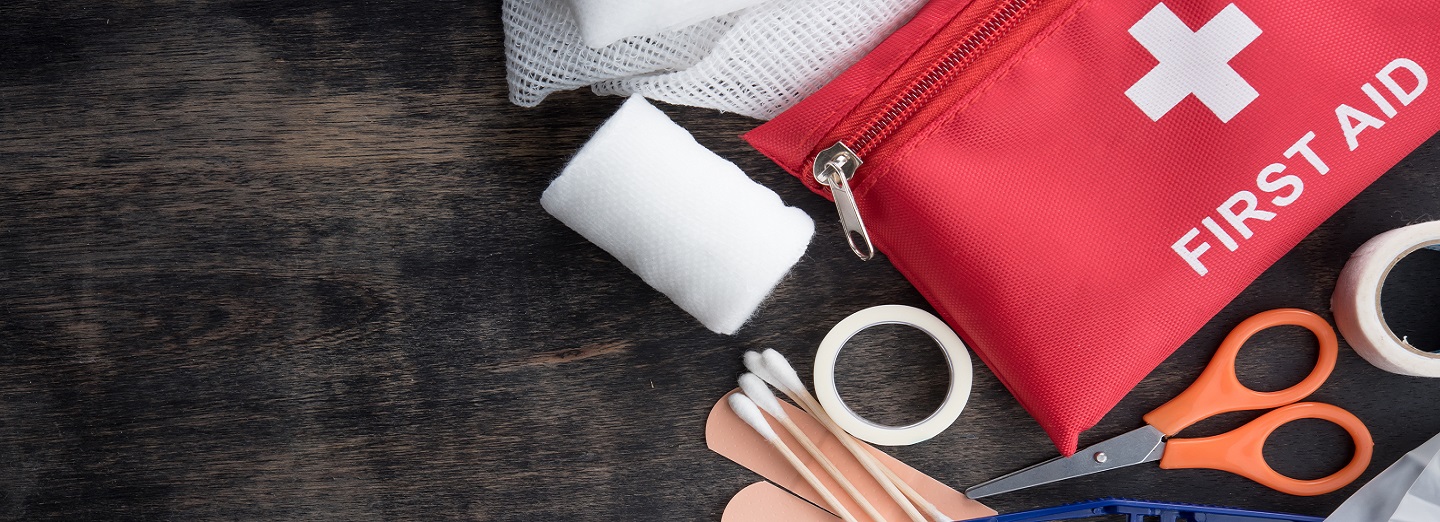 First Aid Kits Boy Scouts of America