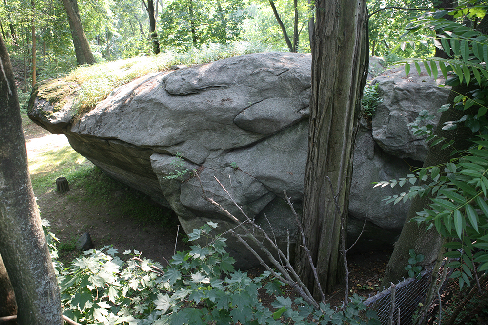 So This Is The Largest Boulder On Long Island Scouting NY