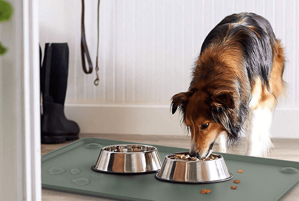 11 Best Dog Water Mats Scout Knows