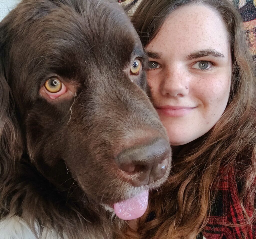 11 Most DogFriendly Car Rental Agencies Scout Knows