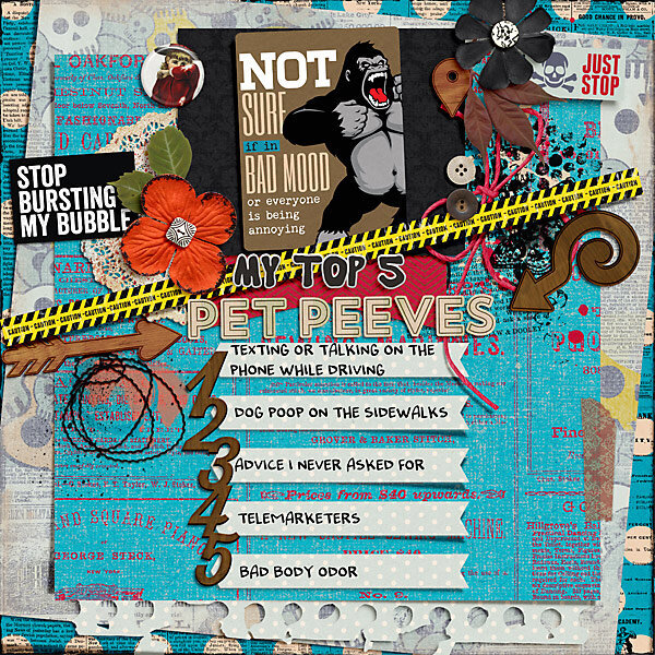 My top 5 pet peeves Project Idea