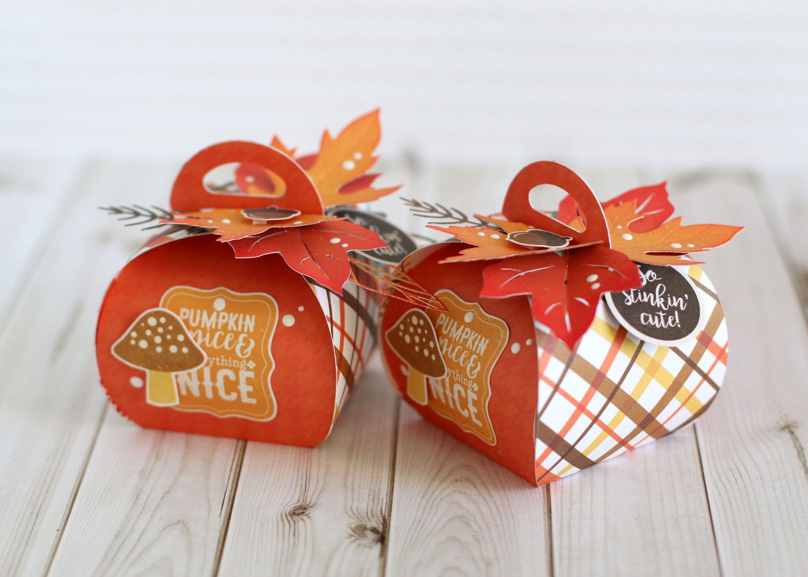 Fall Treat Boxes